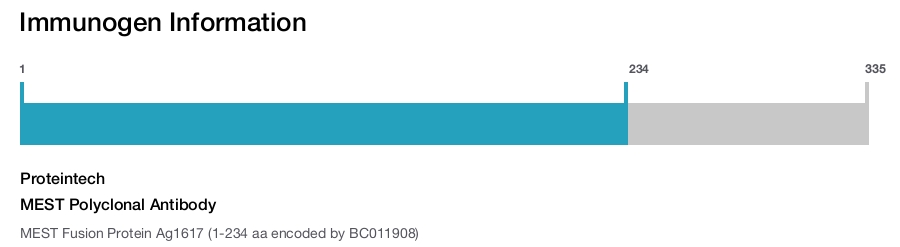 MEST Polyclonal Antibody