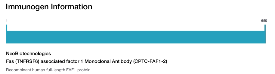 Fas (TNFRSF6) associated factor 1 Monoclonal Antibody (CPTC-FAF1-2)