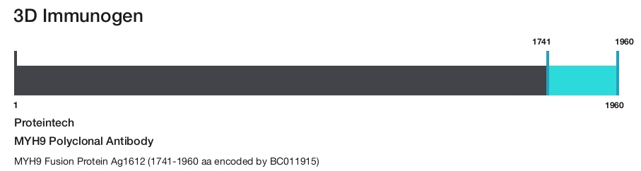 MYH9 Polyclonal Antibody