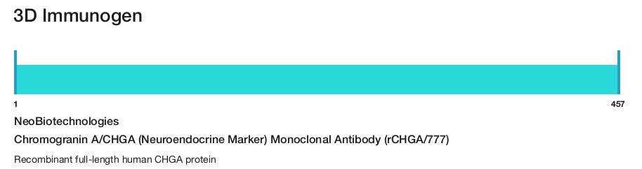 Chromogranin A/CHGA (Neuroendocrine Marker) Monoclonal Antibody (rCHGA/777)