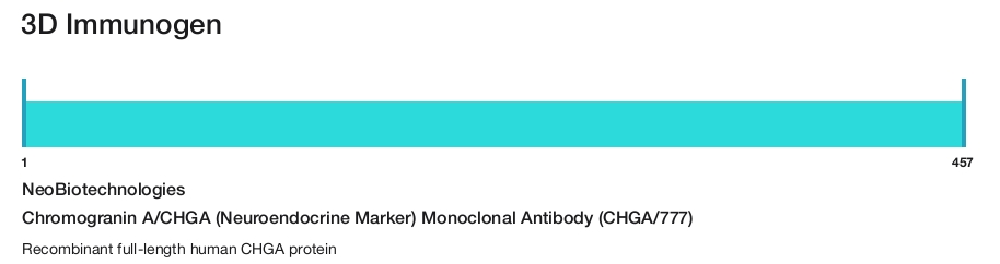 Chromogranin A/CHGA (Neuroendocrine Marker) Monoclonal Antibody (CHGA/777)