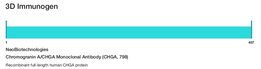 Chromogranin A/CHGA Monoclonal Antibody (CHGA, 798)