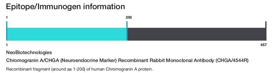Chromogranin A/CHGA (Neuroendocrine Marker) Recombinant Rabbit Monoclonal Antibody (CHGA/4544R)