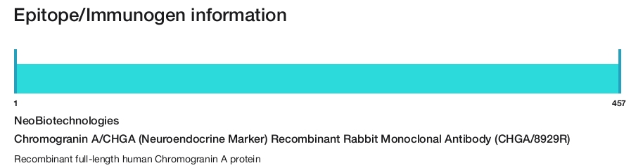 Chromogranin A/CHGA (Neuroendocrine Marker) Recombinant Rabbit Monoclonal Antibody (CHGA/8929R)
