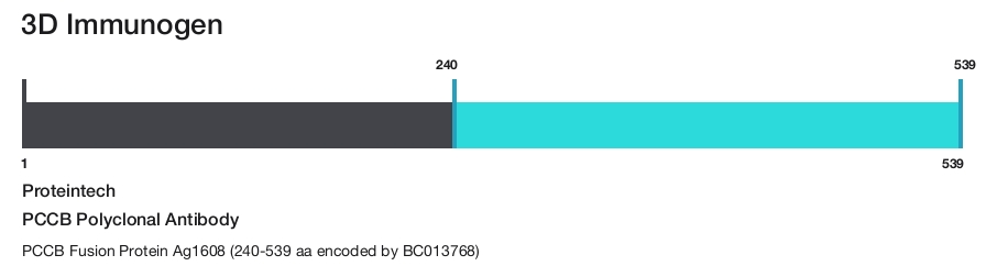 PCCB Polyclonal Antibody
