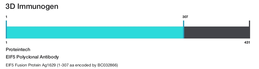 EIF5 Polyclonal Antibody