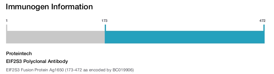 EIF2S3 Polyclonal Antibody
