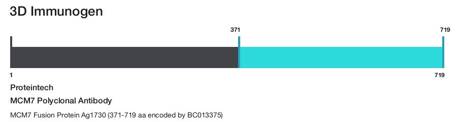 MCM7 Polyclonal Antibody