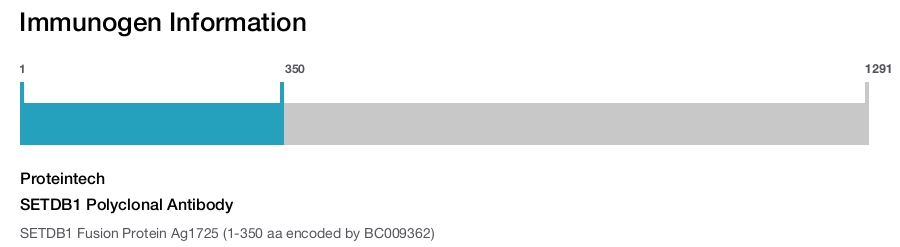 SETDB1 Polyclonal Antibody