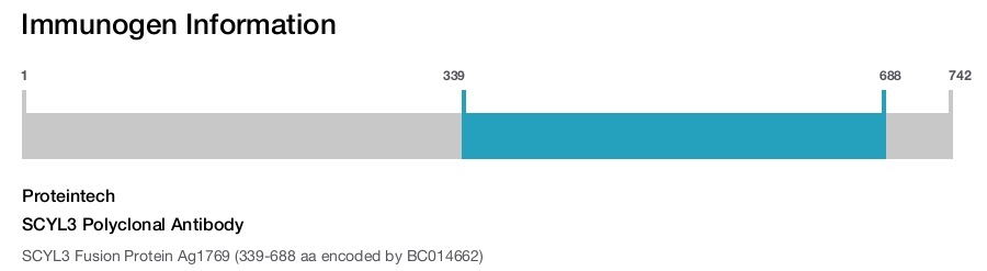 SCYL3 Polyclonal Antibody