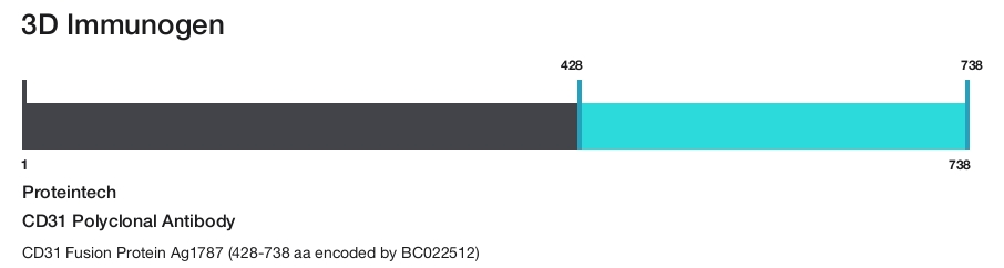 CD31 Polyclonal Antibody