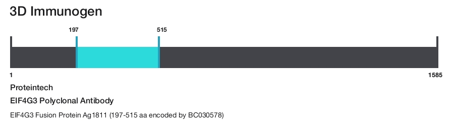 EIF4G3 Polyclonal Antibody