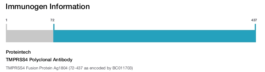 TMPRSS4 Polyclonal Antibody
