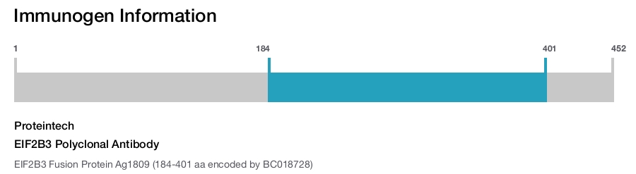 EIF2B3 Polyclonal Antibody