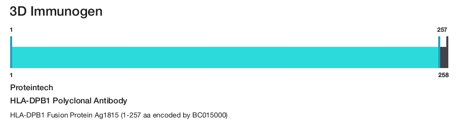 HLA-DPB1 Polyclonal Antibody