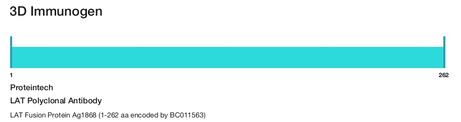 LAT Polyclonal Antibody