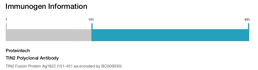 TIN2 Polyclonal Antibody