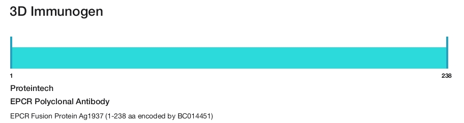 EPCR Polyclonal Antibody