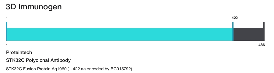 STK32C Polyclonal Antibody