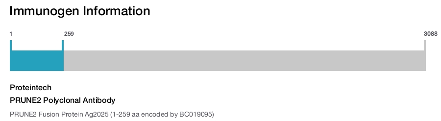 PRUNE2 Polyclonal Antibody