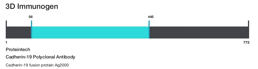 Cadherin-19 Polyclonal Antibody