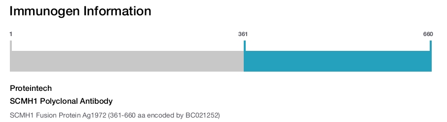 SCMH1 Polyclonal Antibody
