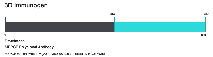 MEPCE Polyclonal Antibody