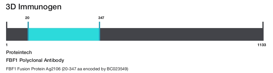 FBF1 Polyclonal Antibody