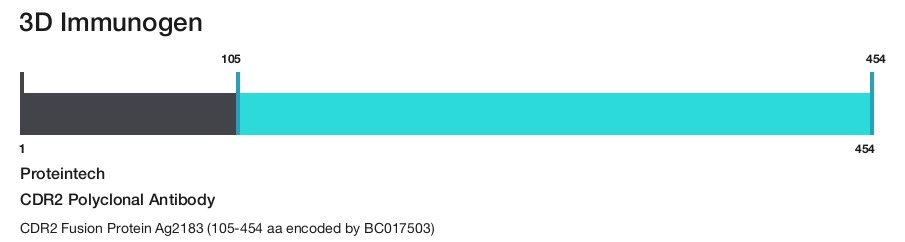 CDR2 Polyclonal Antibody