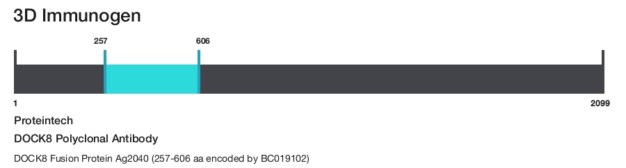 DOCK8 Polyclonal Antibody