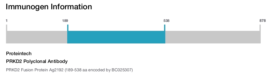 PRKD2 Polyclonal Antibody