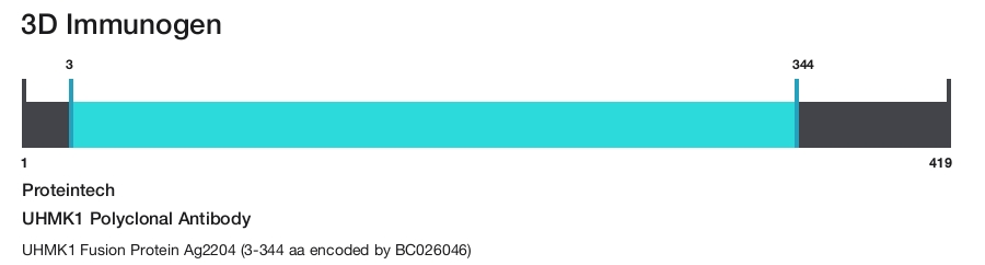 UHMK1 Polyclonal Antibody