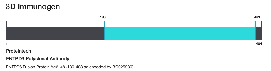 ENTPD6 Polyclonal Antibody