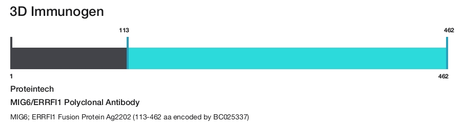 MIG6/ERRFI1 Polyclonal Antibody