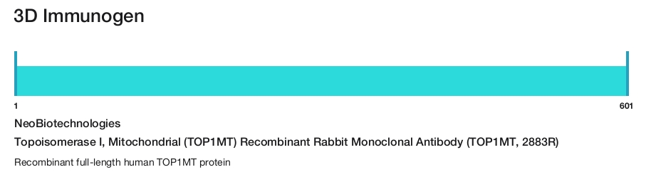 Topoisomerase I, Mitochondrial (TOP1MT) Recombinant Rabbit Monoclonal Antibody (TOP1MT, 2883R)