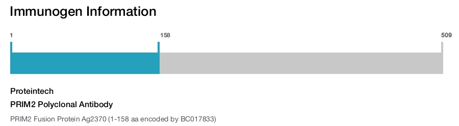 PRIM2 Polyclonal Antibody