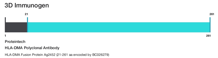 HLA-DMA Polyclonal Antibody