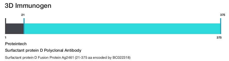 Surfactant protein D Polyclonal Antibody
