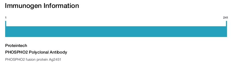 PHOSPHO2 Polyclonal Antibody
