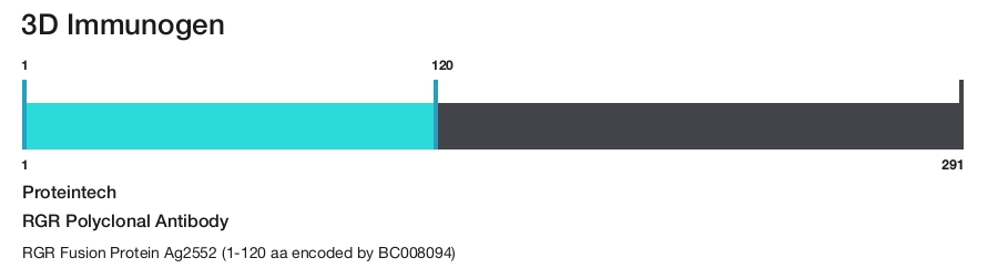 RGR Polyclonal Antibody
