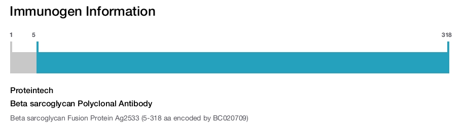 Beta sarcoglycan Polyclonal Antibody