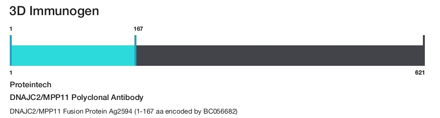 DNAJC2/MPP11 Polyclonal Antibody