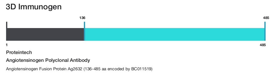 Angiotensinogen Polyclonal Antibody