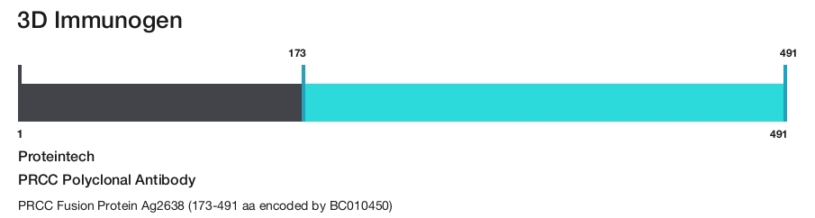 PRCC Polyclonal Antibody