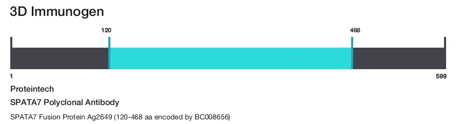 SPATA7 Polyclonal Antibody