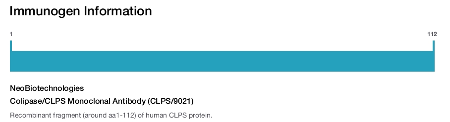 Colipase/CLPS Monoclonal Antibody (CLPS/9021)