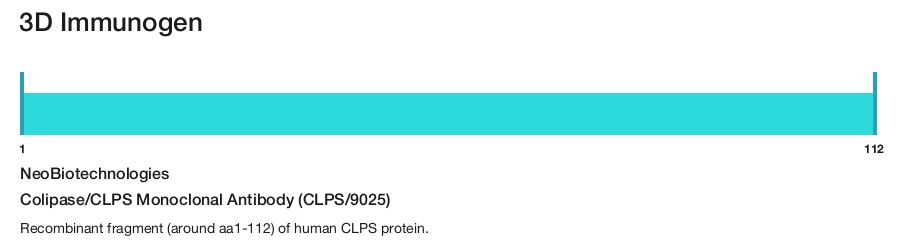 Colipase/CLPS Monoclonal Antibody (CLPS/9025)