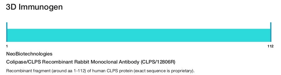 Colipase/CLPS Recombinant Rabbit Monoclonal Antibody (CLPS/12806R)