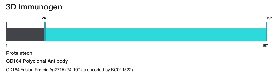 CD164 Polyclonal Antibody