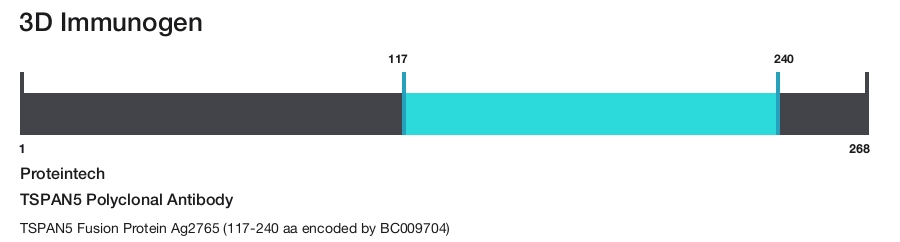 TSPAN5 Polyclonal Antibody
